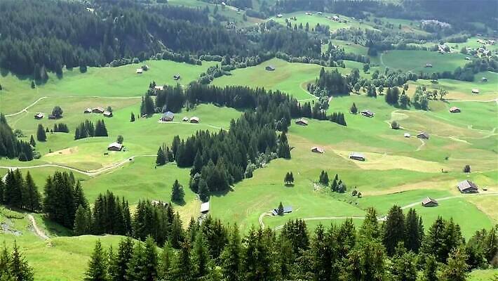 나무 자연 산 주택 사람없음 초록색 뷰티 마을 계곡 소나무 스위스 알프스 오르막 베른 MP4 해외동영상 클립영상 식물 유럽 컬러 건물 생태계 동영상 파일형식