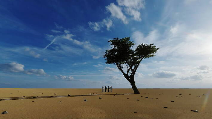 나무 구름 모래 여행 백그라운드 아프리카 자연 하늘 건조 사람 풍경 사람없음 야외 여름 달리기 여행객 일몰 우정 산책 사막 승차 저녁 토론 모래언덕 동료 검색 사하라 사우디아라비아 숨김 아카시아 고립 나미비아 두바이 4K MOV 해외동영상 클립영상 자연요소 식물 계절 나라 컨셉 중동 관계 모션 휴식 친구 노을 야간 언덕 생태계 동영상 아랍에미리트 남아프리카 파일형식