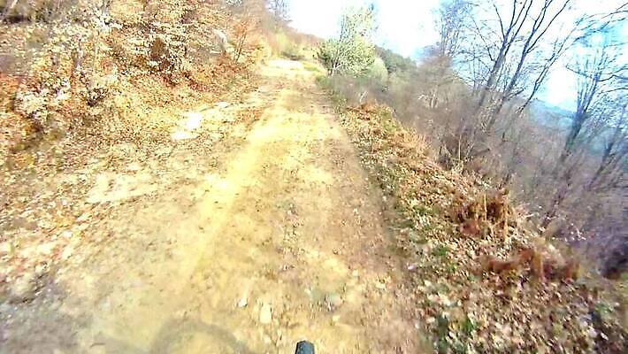 도로 스포츠 포즈 이동 자국 모션 자연 산 경사 사람없음 야외 운동 자전거 경쟁 승차 소프트포커스 숲 속도 흥분 사이클링 바이크레이서 바이킹 블러 산악자전거 1인칭시점 MOV 해외동영상 클립영상 시선 감정 길 컨셉 교통시설 촬영기법 건강 바이크 육상스포츠 생태계 동영상 파일형식