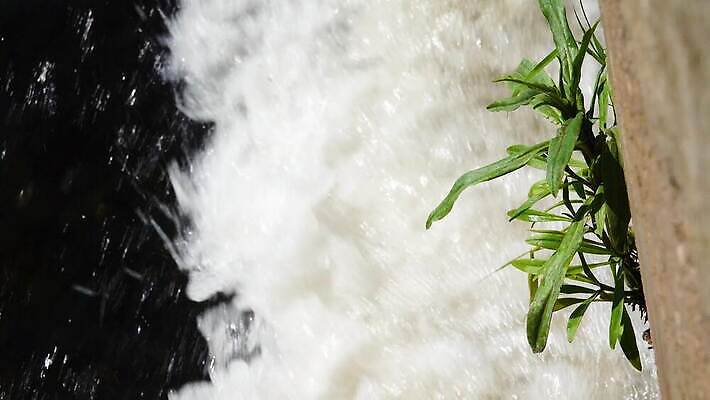 식물 호수 파도 백그라운드 자연 사람없음 초록색 물 강 환경 흐름 액체 개울 오염 지저분함 쓰레기 위험 부식 튜브 낭비 내추럴 재앙 파이프라인 폐수 하수 화학물질 4K MP4 해외동영상 클립영상 자연요소 바다 컬러 컨셉 감각 화학 환경오염 생태계 파이프_관 동영상 파일형식