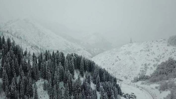 나무 도로 여행 백그라운드 크리스마스 겨울 자국 자연 날씨 새해 산 안테나 풍경 사람없음 야외 냉동 추위 안개 가을 흰색 나뭇가지 소나무 정상 숲 언덕 서리 전나무 흐림 눈보라 항공촬영 드론 제설기 카자흐스탄 눈내림 가문비나무 4K 알마티 MP4 해외동영상 클립영상 식물 계절 기념일 아시아 길 뷰포인트 컬러 통신 교통시설 눈_날씨 생태계 동영상 제설 파일형식