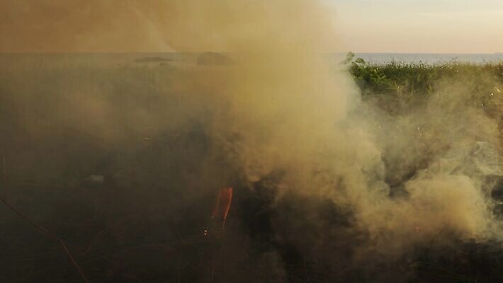 산업 바다 백그라운드 자연 불 사람없음 목재 태양 환경 맑음 오염 연기 쓰레기 폐기물 플라스틱 낭비 연소 땅바닥 생태학 4K MOV 해외동영상 클립영상 자연요소 나무 교육 컨셉 재료 재질 날씨 바닥 생태계 동영상 파일형식