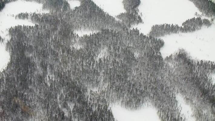 나무 구름 라이프스타일 여행 겨울 모션 자연 하늘 휴가 산 안테나 풍경 사람없음 야외 환경 얼음 추위 흰색 시골 헬리콥터 숲 북극 서리 시베리아 1인칭시점 4K MOV 해외동영상 클립영상 자연요소 식물 시선 계절 컬러 통신 비행기 생활 극지방 생태계 동영상 파일형식