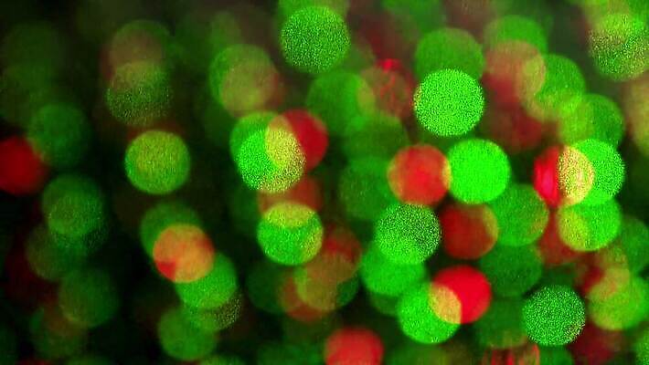 디자인 선 컬러 백그라운드 이동 패턴 오렌지 모션 벽지 추상 사람없음 빨간색 초록색 파란색 빛 컬러풀 우주 검은색 활발 흐름 에너지 덮개 소용돌이 원형 고리 황금 속도 역동적 네온 장노출 마법 평행 스타일 4K MP4 해외동영상 클립영상 도형 컨셉 무늬 과일 촬영기법 뚜껑 회오리 동영상 파일형식