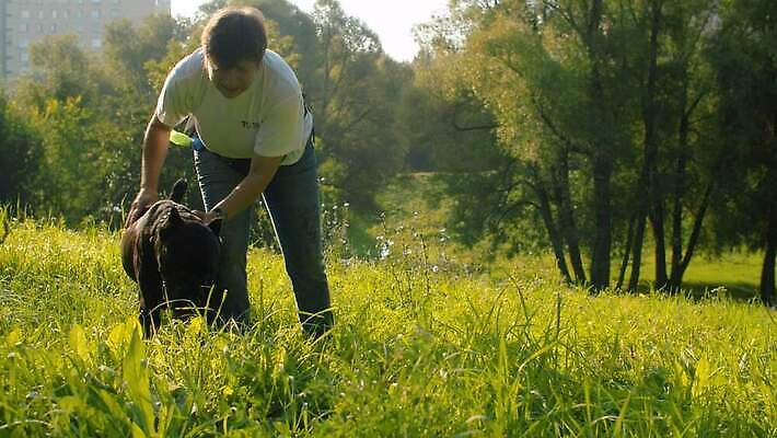 나무 동물 공원 여자 꽃 행복 밭 자연 함께함 사랑 한명 사람 야외 초록색 친구 반려동물 귀여움 맑음 검은색 우정 기쁨 만지기 개 주인 송곳니 내추럴 돌봄 복종 충실 타격 4K MOV 해외동영상 클립영상 식물 1 공공시설 감정 컬러 컨셉 농업 포유류 관계 모션 날씨 치아 생태계 동영상 파일형식