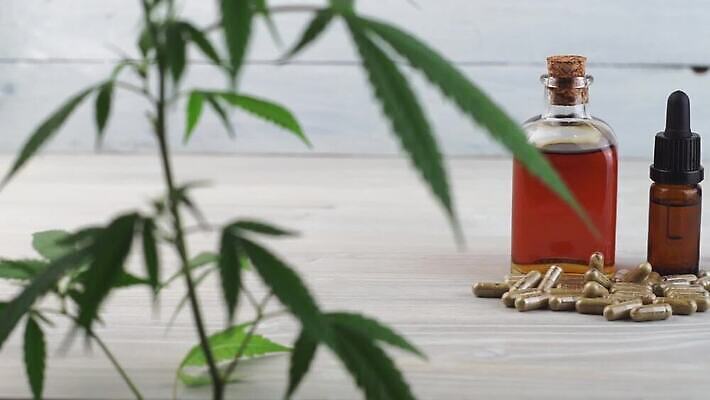 식물 과학 백그라운드 잎 자연 휴식 건강 사람없음 초록색 알약 약 의사 흰색 잡초 삼 약초 질병 가루 허브 과학자 결정체 공식 내추럴 마약 약사 에센스 추출 화학물질 대마초 MOV 해외동영상 클립영상 직업 컬러 컨셉 채소 의학 화장품 의료진 풀_식물 화학 생태계 동영상 학자 파일형식