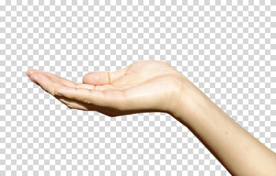 편집 편집이미지 손 누끼 손짓 신체부위 손들기 PNG 편집소스 모션 사람 파일형식