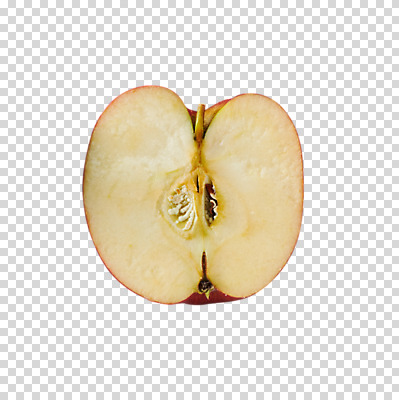 편집 편집이미지 과일 단면 누끼 사람없음 사과 반쪽 PNG 반쪽사과 편집소스 파일형식