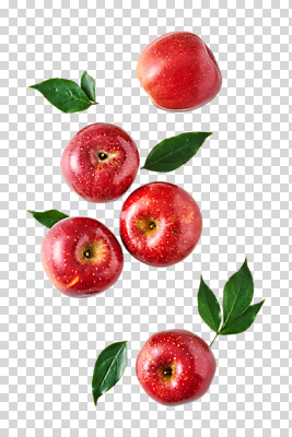 편집 편집이미지 잎 과일 나뭇잎 누끼 사람없음 여러개 사과 PNG 편집소스 식물 다수 파일형식