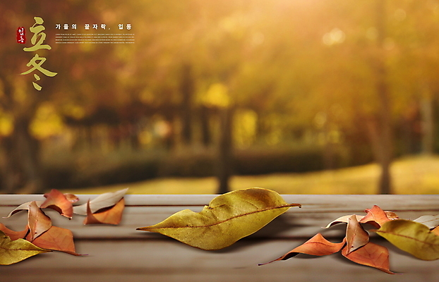 PSD 편집이미지 단풍 낙엽 나뭇잎 사람없음 가을풍경 가을 입동 이미지편집 계절 잎 풍경 절기 파일형식 가을_계절