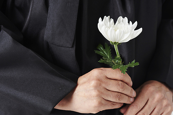 포토 JPG 스튜디오촬영 손 한송이 국화 실내 들기 신체부위 애도 장례 국내포토 1 꽃 모션 사람 내부 송이 파일형식