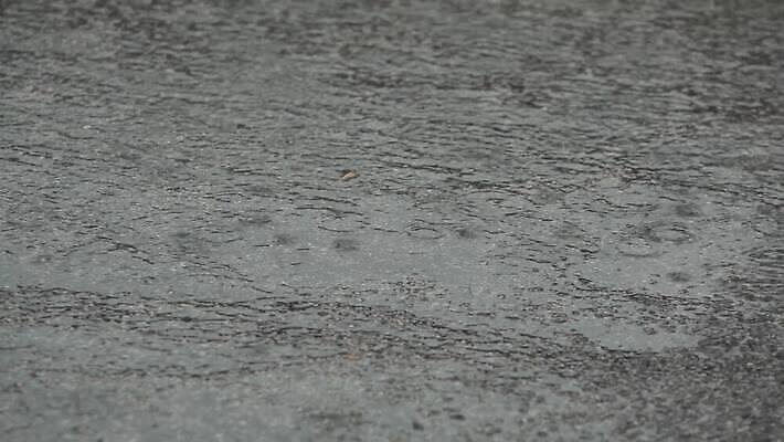 나무 계절 도로 여행 백그라운드 교통시설 모션 자동차 자연 표면 날씨 거리 사람없음 야외 초록색 물 여름 빛 반사 어둠 운전 젖음 가을 도시 액체 고속도로 보행로 떨어짐 위험 아스팔트 빗방울 속도 웅덩이 장면 폭풍 방법 스플래쉬 4K MOV 해외동영상 클립영상 자연요소 식물 길 육상교통 컬러 교통 컨셉 비_날씨 시설 생태계 동영상 파일형식