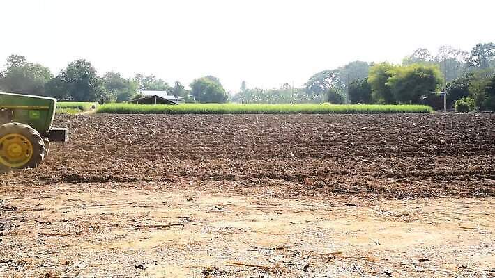 식물 계절 포즈 밭 농업 자연 지팡이 하늘 노동자 사람없음 초록색 농작물 농장 농경지 환경 장비 운전 에너지 수확 성장 시골 업무 농부 설탕 자르기 연료 트랙터 내추럴 바이오 밭일 사탕수수 MOV 해외동영상 클립영상 직업 산업 컬러 모션 작업 농기계 생태계 특수차량 동영상 파일형식