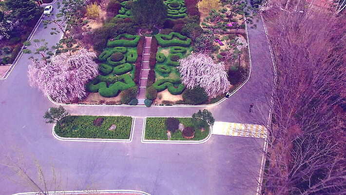 나무 식물 계절 공원 꽃 아시아 분홍색 여행 백그라운드 자연 서울 한국 안테나 사람없음 야외 건물 초록색 파란색 뷰티 환경 정원 봄 벚꽃 흰색 소나무 체리 4월 남쪽 내추럴 4K MOV 해외동영상 클립영상 건축물 공공시설 나라 컬러 과일 통신 날짜 방향 생태계 동영상 파일형식