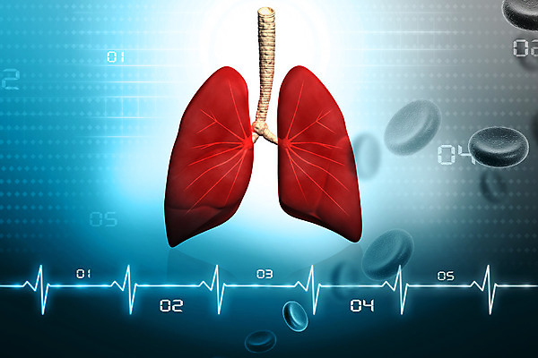 포토 JPG 해외이미지 교육 과학 백그라운드 일러스트 해부 상상 엑스레이 건강 사람 사람없음 초록색 3D 디지털 조직 오르간 허파 호흡기관 호흡 질감 만들기 궤 심전도 효과 해외202004 해외포토 컬러 의학 모션 장기_의학 건반악기 디지털합성 파일형식