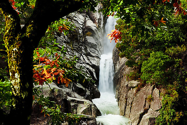 포토 JPG 해외이미지 나무 식물 계절 공원 여행 잎 자연 산 풍경 사람없음 야외 물 강 컬러풀 환경 봄 폭포 흐름 가을 떨어짐 숲 11월 장면 10월 내추럴 전국 해외202004 해외포토 자연요소 공공시설 컬러 컨셉 날짜 생태계 파일형식