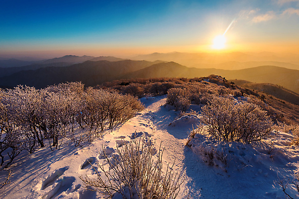 포토 JPG 해외이미지 나무 구름 계절 아시아 백그라운드 겨울 자연 하늘 아침 휴가 산 서울 한국 풍경 사람없음 야외 목재 파란색 태양 일출 일몰 추위 흰색 시원함 언덕 서리 남쪽 절정 눈내림 해외202004 해외포토 주간 자연요소 식물 나라 컬러 재료 눈_날씨 노을 방향 생태계 파일형식