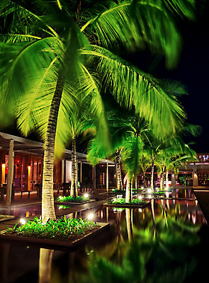 포토 JPG 해외이미지 나무 디자인 외관 여행 자연 하늘 호텔 휴가 휴식 손바닥 사람없음 야외 내부 초록색 물 여름 빛 반사 식당 정원 어둠 카페 전원 바 휴게실 고급 야간 저녁 입장 휴양지 지역 마법 몰디브 빛망울 파라다이스 해외202004 해외포토 자연요소 식물 손 계절 아시아 컬러 컨셉 숙소 상점 장소 전기에너지 생태계 파일형식