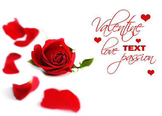 포토 JPG 해외이미지 식물 꽃잎 꽃 백그라운드 잎 자연 휴가 기념 발렌타인데이 선물 사랑 사람없음 장식 빨간색 장미 우주 봄 활발 낭만 흰색 축하 인사 신선 신용카드 오브젝트 싱글 향기 열정 내추럴 고립 국경 해외202004 해외포토 계절 감정 컬러 컨셉 데이이벤트 금융 예절 생태계 냄새 파일형식