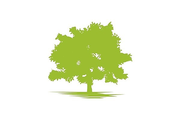 EPS 해외이미지 모양 나무 식물 템플릿 계절 공원 실루엣 과학 잎 꽃무늬 일러스트 회사 비즈니스 자연 목재 초록색 환경 정원 봄 성장 벚꽃 숲 심볼 오브젝트 에코 유기농 신분 뿌리 내추럴 고립 바이오 생태학 엘리먼트 해외202004 해외일러스트 웰빙 공공시설 교육 꽃 컬러 무늬 재료 촬영기법 생태계 파일형식 벡터