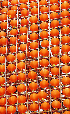 포토 JPG 해외이미지 전통 종이 문화 벽 백그라운드 불교 오렌지 벽지 미술 동양인 사람없음 빨간색 단어 빛 중국 등불 기록 사찰 야간 동쪽 말레이시아 조롱박 많음 해외202004 해외포토 자연요소 문자 아시아 종교 컬러 컨셉 과일 종교건축 문화예술 조명 인종 방향 파일형식