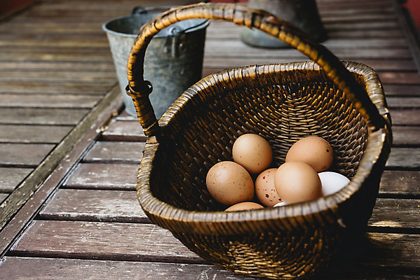 포토 JPG 해외이미지 음식 건강 사람없음 갈색 계란 신선 상품 양동이 유기농 날것 내추럴 해외202004 해외포토 웰빙 컬러 알 파일형식