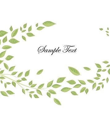 EPS 해외이미지 나무 식물 디자인 백그라운드 잎 패턴 일러스트 추상 나뭇잎 프레임 미술 사람없음 그래픽 장식 초록색 패턴백그라운드 흰색 해외202004 해외일러스트 컬러 무늬 문화예술 파일형식 벡터