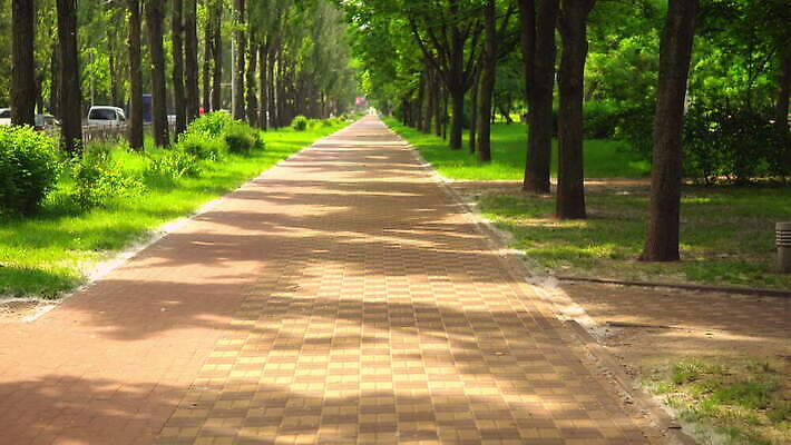 나무 도로 자동차 자연 풍경 사람없음 초록색 여름 도시풍경 도시 보행로 타운 무거움 솜털 미루나무 4K MOV 해외동영상 클립영상 식물 계절 길 육상교통 컬러 교통시설 무게 생태계 동영상 파일형식