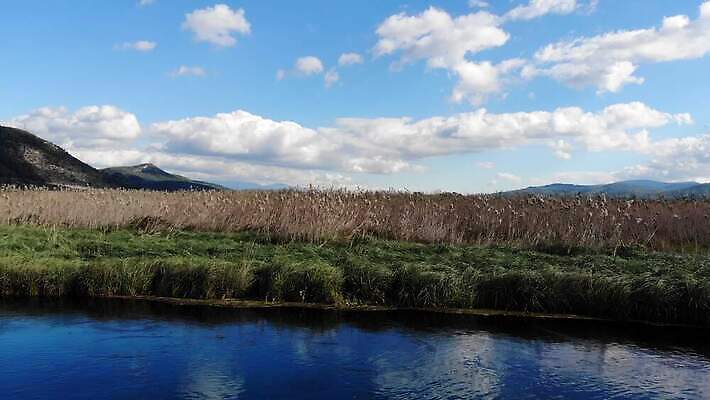 식물 계절 잎 자연 하늘 건조 안테나 사람없음 야외 초록색 물 파란색 강 반사 환경 만 개울 습지 지중해 언덕 서식지 창백 드론 잔물결 파스텔톤 현재 4K MP4 해외동영상 클립영상 자연요소 물결 바다 컬러 컨셉 통신 생태계 동영상 파일형식
