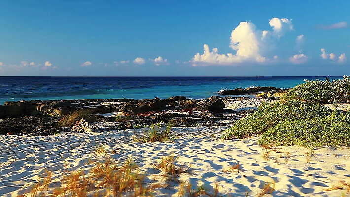 물결 선 모래 파도 바다 여행 자연 하늘 휴가 휴식 멕시코 사람없음 야외 물 파란색 뷰티 맑음 미국 침묵 서핑 떨어짐 휴양지 유카탄 마야 강렬 이국적 파라다이스 수평선 MOV 해외동영상 클립영상 자연요소 컬러 컨셉 북아메리카 날씨 소리 장소 수상스포츠 생태계 마야문명 동영상 파일형식