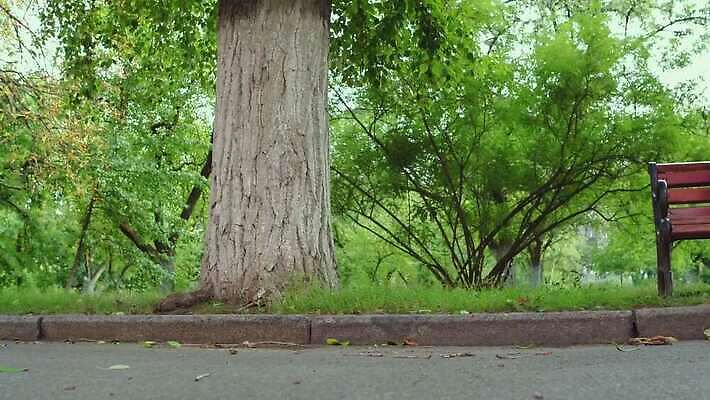공원 벤치 가방 거리 한명 사람 앉기 야외 책 독서 카트 추위 코트 잡기 도시 좌절 가난 버리기 문제 거지 구걸 노숙자 옛날 우울증 헬프 4K MP4 해외동영상 클립영상 1 잡화 공공시설 감정 컨셉 의자 모션 외투 도움 질병 동영상 파일형식