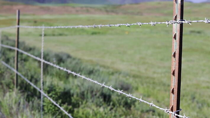 식물 백그라운드 밭 농업 바람 풍경 초원 사람없음 야외 초록색 여름 울타리 환경 봄 성장 경계선 시골 신선 플랫 과수원 철사 말뚝 MOV 해외동영상 클립영상 자연요소 계절 산업 선 컬러 날씨 담장 경계 동영상 파일형식