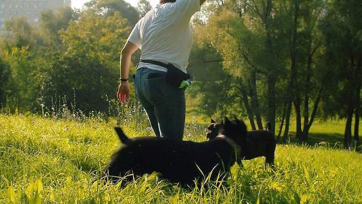 나무 동물 공원 여자 꽃 행복 운동화 2 밭 자연 놀이 함께함 사랑 한명 사람 야외 초록색 친구 반려동물 달리기 귀여움 검은색 우정 개 주인 송곳니 내추럴 돌봄 복종 충실 4K MOV 해외동영상 클립영상 식물 1 공공시설 감정 컬러 신발 컨셉 농업 포유류 관계 모션 치아 생태계 동영상 파일형식