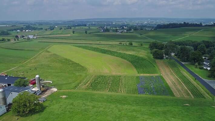 나무 식물 산업 백그라운드 밭 농업 자연 하늘 아침 안테나 풍경 초원 사람없음 야외 초록색 여름 파란색 농작물 태양 농장 농경지 환경 장비 수확 시골 신선 땅 밀 유기농 장면 트랙터 내추럴 드론 밭일 세련 4K MOV 해외동영상 클립영상 주간 자연요소 웰빙 계절 컬러 통신 곡류 농기계 생태계 특수차량 동영상 파일형식