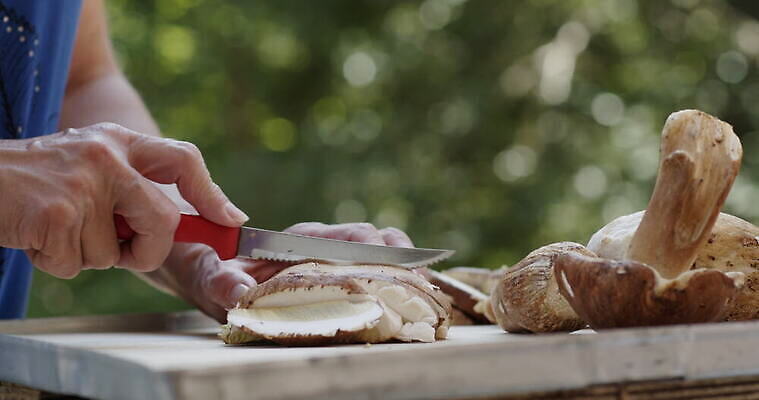 손 여자 음식 버섯 신선 그룹 칼 작음 큼 왕 자르기 청소 준비 곰팡이 그물버섯 번 페니 많음 4K MOV 해외동영상 클립영상 빵 컨셉 모션 사람 신체부위 동전 크기 동영상 파일형식