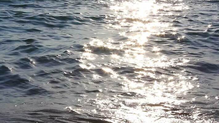 여자 모래 파도 바다 여행 백그라운드 2 자연 휴식 사람 해변 사람없음 야외 물 평화 걷기 환경 산책 안개 만 서핑 오염 장면 내추럴 라트비아 뿌연 생태학 MOV 해외동영상 클립영상 자연요소 교육 컨셉 모션 날씨 북유럽 수상스포츠 생태계 동영상 파일형식