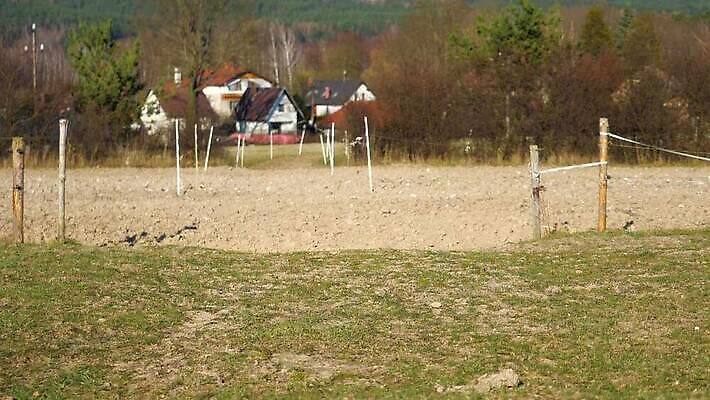 동물 공원 컬러 포즈 밭 모션 바람 사람없음 야외 초록색 달리기 농장 갈색 가축 목장 흰색 시골 쌍 복도 군중 승차 언덕 속도 갈기 조랑말 내추럴 무료 방목장 MOV 해외동영상 클립영상 자연요소 공공시설 농업 날씨 사람 말_동물 동영상 파일형식