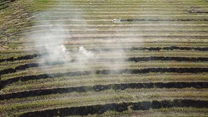 식물 계절 아시아 백그라운드 자연 불 건조 풍경 사람없음 야외 빛 글로벌 농장 노란색 환경 수확 시골 오픈 뜨거움 오염 분위기 연기 위험 땅 화재 밀짚 연소 논밭 재앙 지옥 화상 4K MOV 해외동영상 클립영상 자연요소 나라 컬러 컨셉 밭 농업 논 짚 상처 사건 생태계 동영상 파일형식