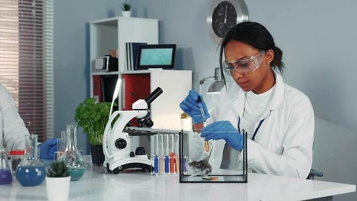 동물 여자 실험 두명 검은색 놀람 관찰 액체 쥐 컨테이너 과학자 생물학 피펫 4K MOV 해외동영상 클립영상 직업 교육 감정 산업 컬러 과학 모션 표정 실험기구 사람 설치류 동영상 학자 파일형식