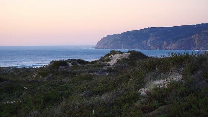 유럽 모래 파도 바다 여행 백그라운드 자연 하늘 바람 휴가 휴식 파노라마 사람없음 초록색 물 맑음 일몰 윈드서핑 서핑 모래언덕 포르투갈 암초 대서양 내추럴 리스본 신트라 인기 4K MOV 해외동영상 클립영상 자연요소 나라 컬러 컨셉 날씨 촬영기법 노을 수상스포츠 언덕 생태계 동영상 파일형식