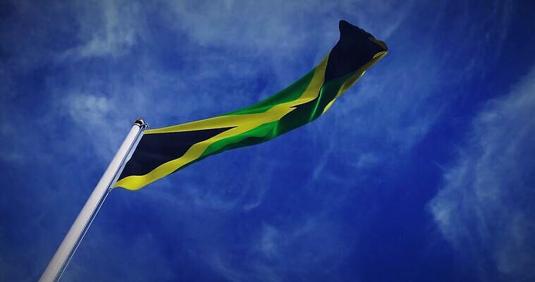 나무 배너 물결 파도 백그라운드 하늘 바람 사람없음 그래픽 흐름 자유 깃발 불기 군용 만들기 지역 깃대 봉 애니메이션 동영상 애국심 명예 자메이카 전국 정부 통일 4K MOV 해외동영상 슬로모션 클립영상 자연요소 식물 바다 컨셉 북아메리카 모션 날씨 군대 촬영기법 파일형식