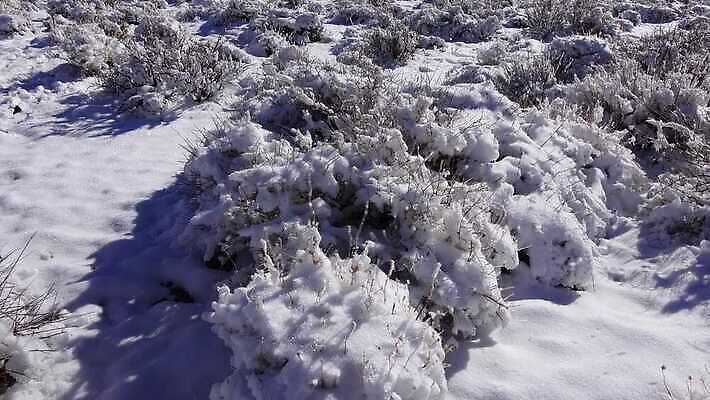 구름 공원 모래 여행 겨울 자국 자연 하늘 휴가 산 건조 파노라마 풍경 사람없음 야외 파란색 계곡 맑음 미국 트래킹 하이킹 사막 흰색 황무지 숲 언덕 캘리포니아 통과 내추럴 요세미티국립공원 전국 절정 4K MP4 해외동영상 클립영상 자연요소 계절 공공시설 컬러 북아메리카 레저 날씨 촬영기법 국립공원 생태계 동영상 파일형식