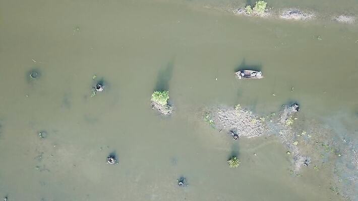 전통 교육 야생동물 자연 낚시 어류 사람 사람없음 가로 파란색 태양 젖음 그물 보트 습지 열대우림 각도 낚시꾼 원시시대 예약 항공촬영 4K MOV 해외동영상 클립영상 자연요소 동물 뷰포인트 컬러 배_교통 레저 수중동물 역사 숲 생태계 동영상 파일형식