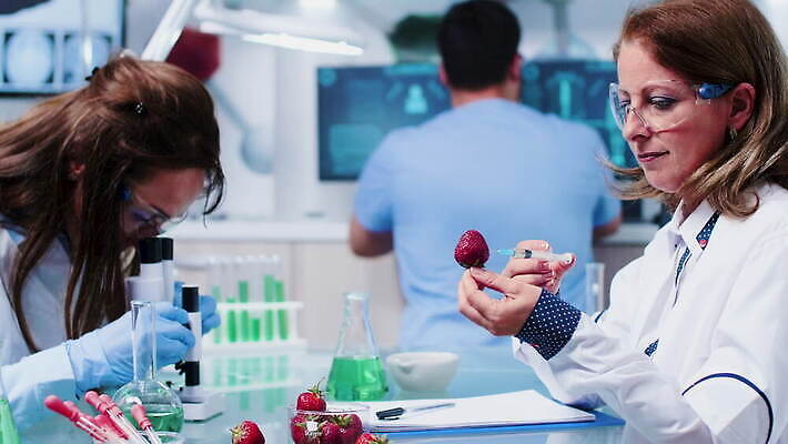 식물 직업 응시 산업 과학 딸기 노동자 건강 병원 현미경 실험 안전 사람 약 장비 의사 코트 작업 실험실 생명공학 연구원 과학자 유기농 생물학 공학 조제 개발 유전 유전자변형 4K MOV 해외동영상 클립영상 웰빙 시선 교육 과일 의학 실험기구 외투 의료진 만들기 동영상 학자 파일형식