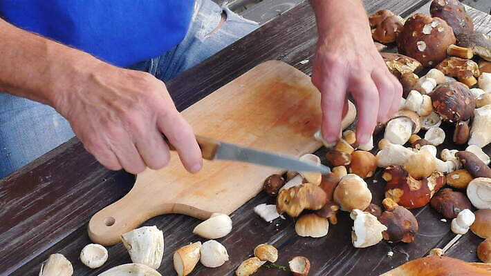 라이프스타일 식기 계절 음식 조각 백그라운드 채소 재료 부분 손가락 탁자 건강 요리 사람 성인 갈색 주방 요리사 식사 저녁식사 버섯 흰색 신선 칼 맛 자르기 준비 날것 나누기 곰팡이 그물버섯 식용 4K MOV 해외동영상 클립영상 직업 손 컬러 가구 컨셉 모션 생활 동영상 파일형식