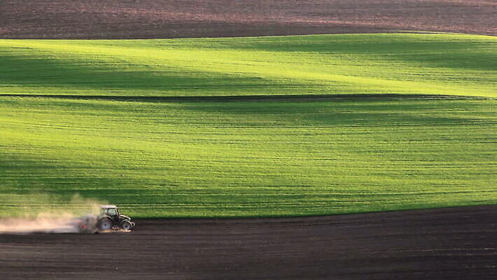 유럽 산업 선 파도 밭 농업 그림자 사람없음 초록색 빛 농장 농경지 갈색 경작 농사 기계 일몰 봄 장비 시골 업무 농부 저녁 땅 준비 트랙 먼지 체코 트랙터 밭일 보헤미아 쟁기 파종 모라비아 세련 MOV 해외동영상 클립영상 직업 계절 나라 바다 컬러 노을 작업 야간 농기계 특수차량 동영상 파일형식