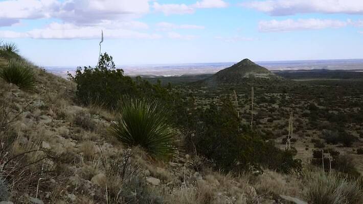 나무 식물 꽃 여행 백그라운드 자연 날씨 선인장 건조 사람없음 초록색 물 사막 뜨거움 가시 척추 날카로움 애리조나 내추럴 뉴멕시코 다육식물 4K MP4 해외동영상 클립영상 자연요소 컬러 뼈 미국 생태계 동영상 파일형식