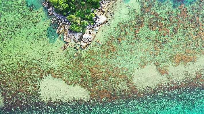 모래 파도 바다 섬 여행 자연 유리 하늘 휴가 풍경 사람없음 초록색 물 여름 모래사장 야자수 맑음 침묵 일몰 흰색 호주 보석 순수 태평양 멀리 석호 말레이시아 내추럴 이국적 터키석 파라다이스 4K MP4 해외동영상 클립영상 자연요소 나무 계절 아시아 컬러 컨셉 재질 날씨 노을 소리 오세아니아 광석 생태계 동영상 파일형식