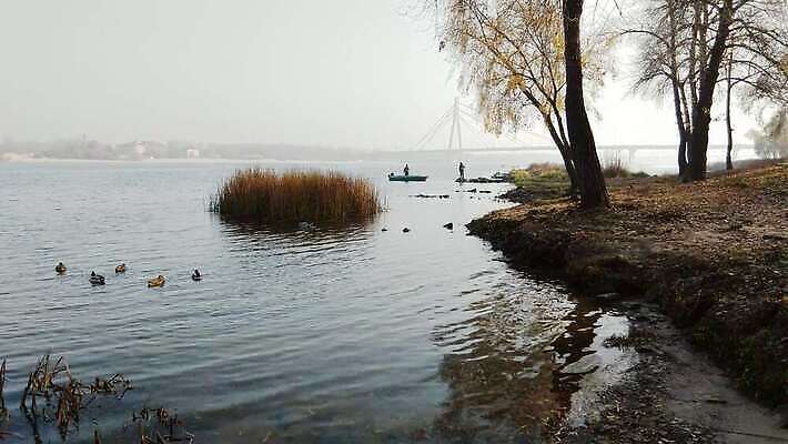 나무 호수 오렌지 자연 하늘 아침 오리 사람없음 야외 빨간색 물 빛 강 햇빛 반사 노란색 평화 침묵 안개 보트 버드나무 장면 낚시꾼 암초 청둥오리 미루나무 우크라이나 4K MP4 해외동영상 클립영상 주간 자연요소 식물 유럽 컬러 컨셉 배_교통 과일 조류 날씨 태양 소리 생태계 동영상 파일형식