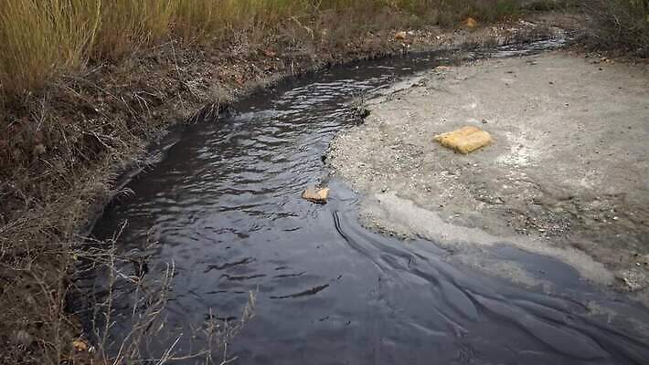 나무 호수 모래 바다 여행 백그라운드 자연 하늘 풍경 사람없음 물 파란색 환경 사막 흰색 파편 버리기 생태계 소금 동쪽 내추럴 소금물 우크라이나 오데사 4K MP4 해외동영상 클립영상 자연요소 식물 유럽 컬러 모션 방향 동영상 파일형식